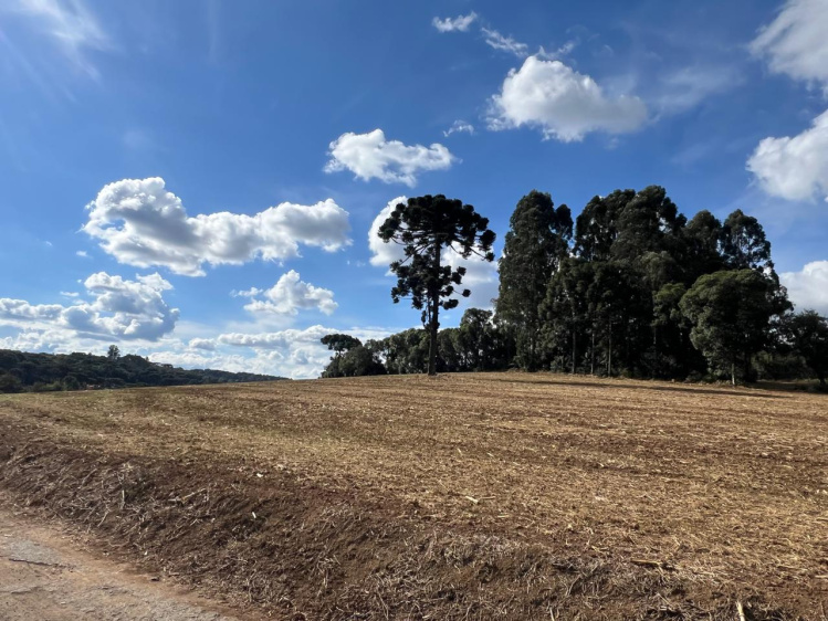 Área rural / urbana