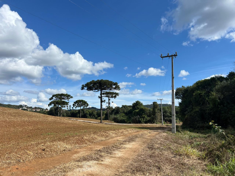 Área rural / urbana