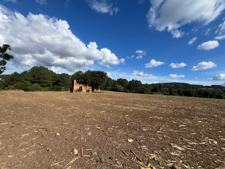 Área rural / urbana