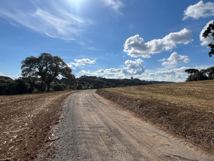 Área rural / urbana