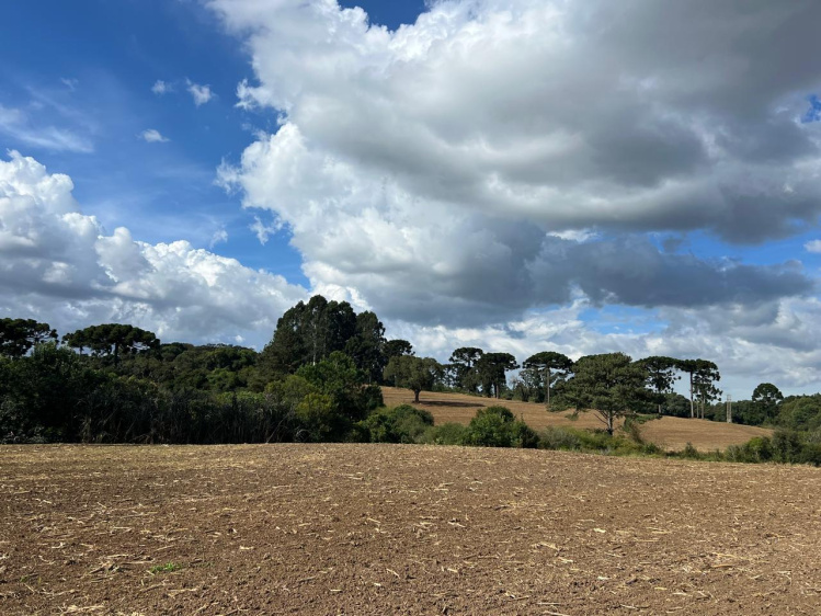 Área rural / urbana