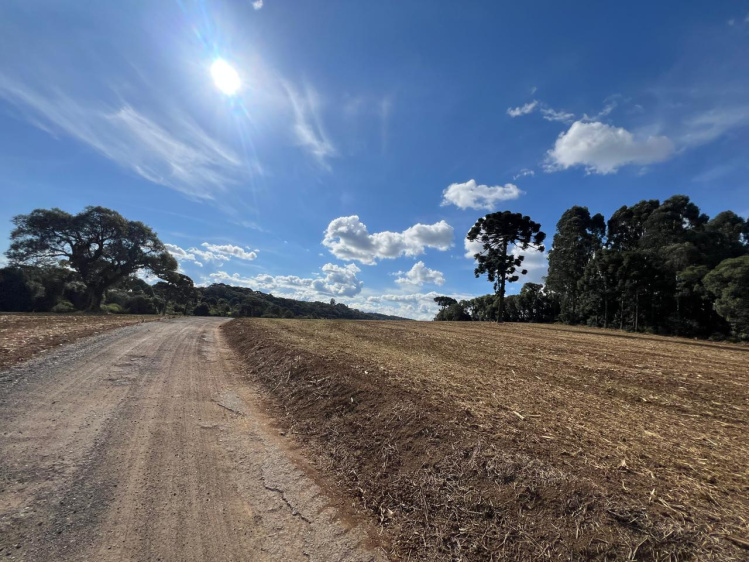 Área rural / urbana